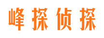 丰南市私家侦探